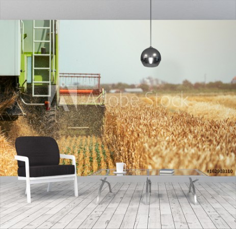 Afbeeldingen van Combine harvester machine harvesting ripe wheat crops